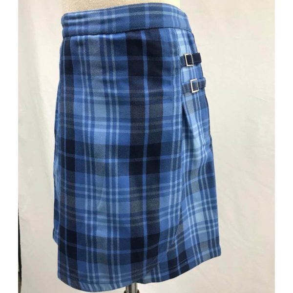 JNS - 21 Blue Chex Skirt